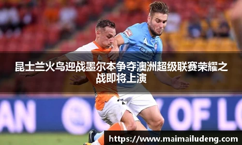 昆士兰火鸟迎战墨尔本争夺澳洲超级联赛荣耀之战即将上演